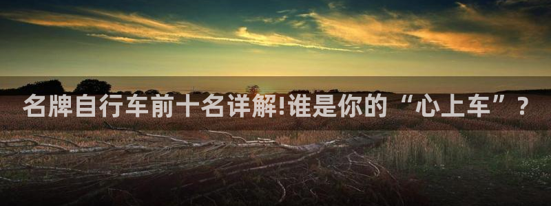 云顶集团进入官网:名牌自行车前十名详解!谁是你的“心上车”?(图1) 云顶集团进入官网