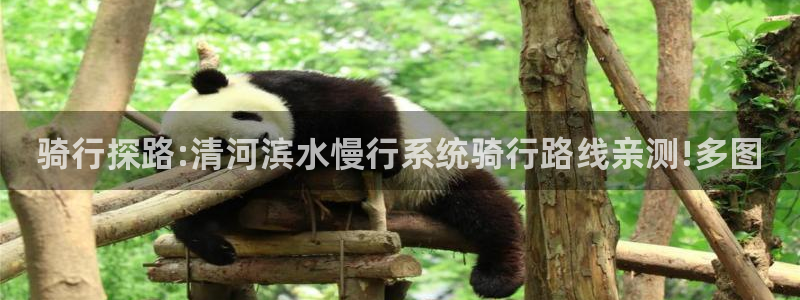 云顶集团yd1233:骑行探路:清河滨水慢行系统骑行路线亲测!多图(图1) 云顶集团yd1233
