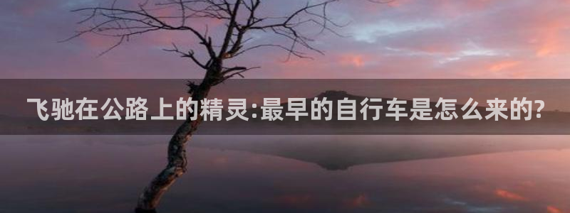 云顶集团进入官网:飞驰在公路上的精灵:最早的自行车是怎么来的?(图1) 云顶集团进入官网