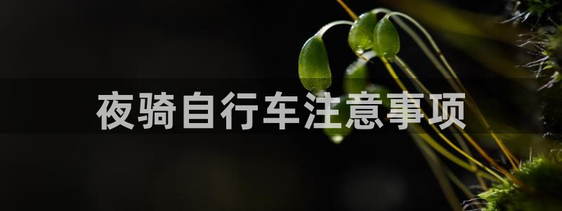 云顶集团3118官网:夜骑自行车注意事项(图1) 云顶集团3118官网
