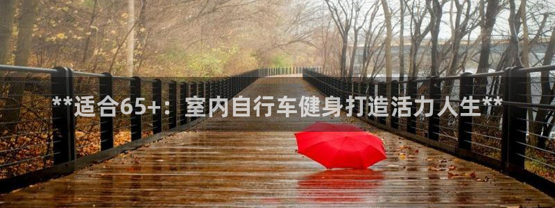 云顶yd2223线路检测:**适合65+:室内自行车健身打造活力人生**(图1) 云顶yd2223线路检测