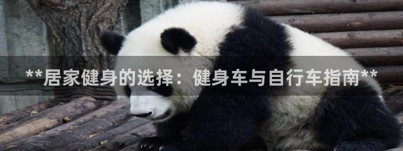 yd2333云顶电子游戏:**居家健身的选择:健身车与自行车指南**(图1) yd2333云顶电子游戏