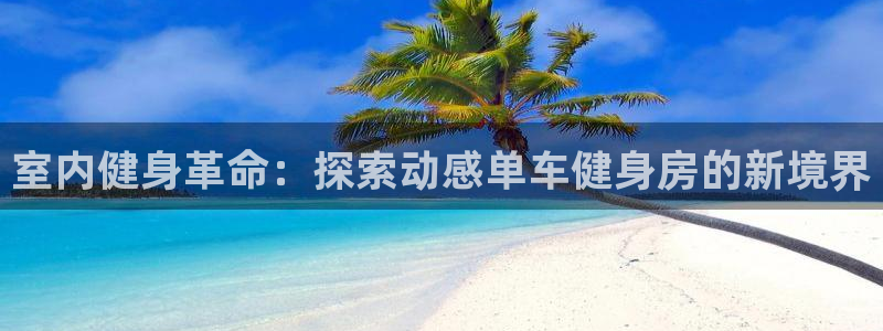 yd2333云顶|室内健身革命:探索动感单车健身房的新境界(图1) yd2333云顶