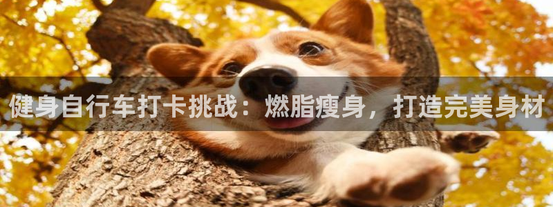 云顶集团官网首页|健身自行车打卡挑战:燃脂瘦身,打造完美身材(图1) 云顶集团官网首页