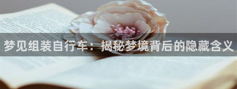yd2333云顶|梦见组装自行车:揭秘梦境背后的隐藏含义(图1) yd2333云顶