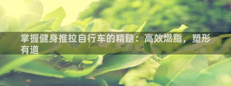 yd2333云顶|掌握健身推拉自行车的精髓:高效燃脂,塑形
有道(图1) yd2333云顶
