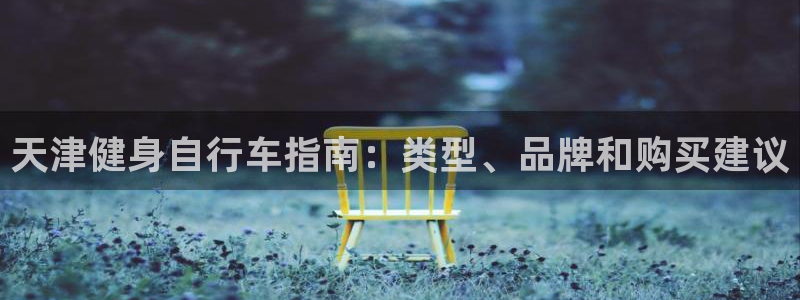 云顶集团welcome官网|天津健身自行车指南:类型、品牌和购买建议(图1) 云顶集团welcome官网