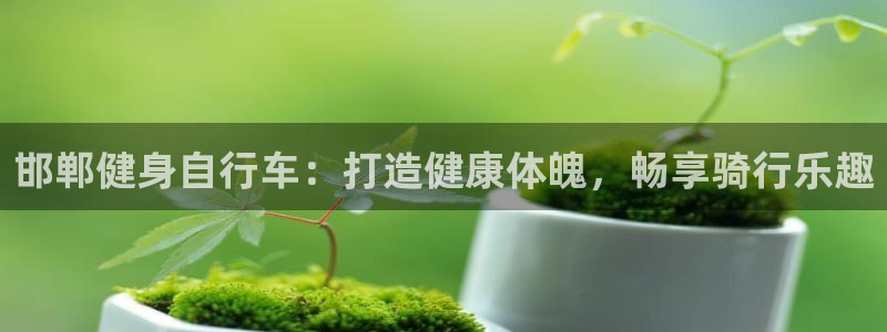 云顶官网唯一官方网站|邯郸健身自行车:打造健康体魄,畅享骑行乐趣(图1) 云顶官网唯一官方网站