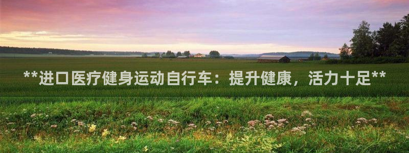 yd2333云顶电子游戏网址多少呢|**进口医疗健身运动自行车:提升健康,活力十足**(图1) yd2333云顶电子游戏网址多少呢