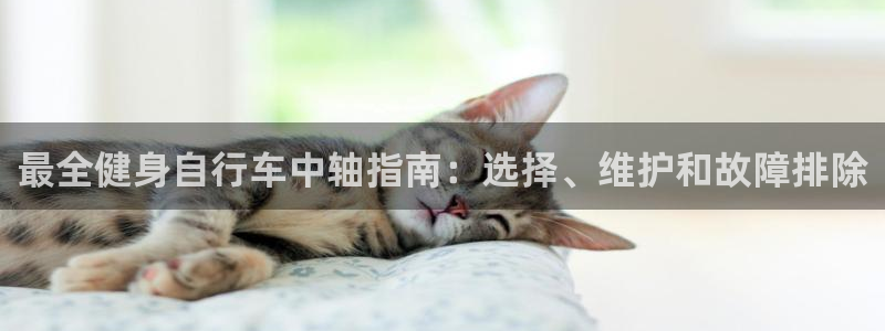 yd云顶集团官网|最全健身自行车中轴指南:选择、维护和故障排除(图1) yd云顶集团官网