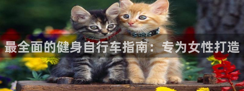 yd2333云顶电子游戏|最全面的健身自行车指南:专为女性打造(图1) yd2333云顶电子游戏