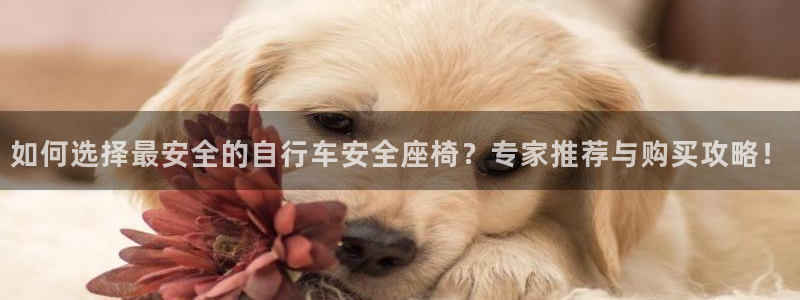 yd2333云顶电子游戏网址多少呢|如何选择最安全的自行车安全座椅?专家推荐与购买攻略!(图1) yd2333云顶电子游戏网址多少呢