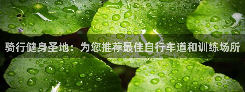 yd222云顶线路检测中心|骑行健身圣地:为您推荐最佳自行车道和训练场所(图1) yd222云顶线路检测中心