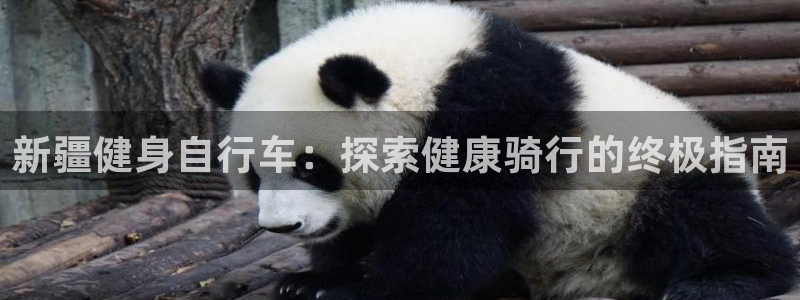 欢迎光临welcome云顶集团|新疆健身自行车:探索健康骑行的终极指南(图1) 欢迎光临welcome云顶集团