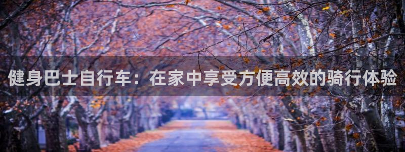 yd12300云顶线路|健身巴士自行车:在家中享受方便高效的骑行体验(图1) yd12300云顶线路