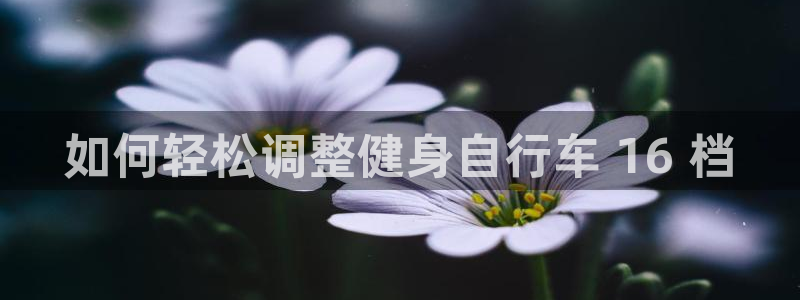 yd2333云顶电子游戏|如何轻松调整健身自行车 16 档(图1) yd2333云顶电子游戏