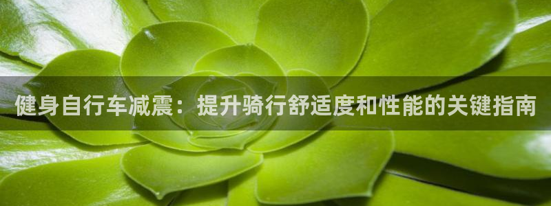 云顶集团网站多少|健身自行车减震:提升骑行舒适度和性能的关键指南(图1) 云顶集团网站多少