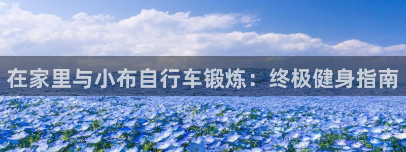 3118云顶集团官网|在家里与小布自行车锻炼:终极健身指南(图1) 3118云顶集团官网