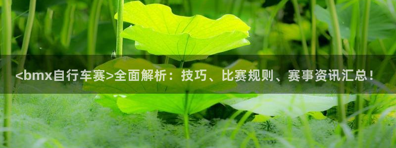 yd云顶集团官网|<bmx自行车赛>全面解析:技巧、比赛规则、赛事资讯汇总!(图1) yd云顶集团官网