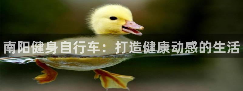 云顶集团最新官方网站|南阳健身自行车:打造健康动感的生活(图1) 云顶集团最新官方网站