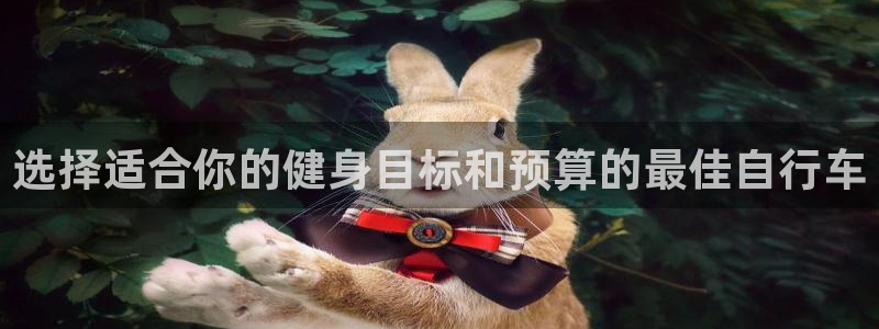 云鼎国际4118welcome|选择适合你的健身目标和预算的最佳自行车(图1) 云鼎国际4118welcome