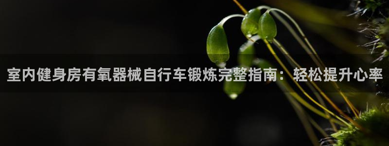 yd2333云顶|室内健身房有氧器械自行车锻炼完整指南:轻松提升心率(图1) yd2333云顶