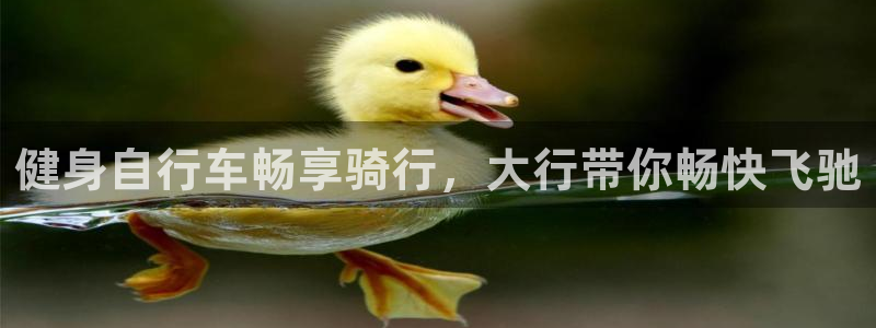 yd2333云顶|健身自行车畅享骑行,大行带你畅快飞驰(图1) yd2333云顶