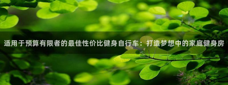 云顶集团网站多少|适用于预算有限者的最佳性价比健身自行车:打造梦想中的家庭健身房(图1) 云顶集团网站多少