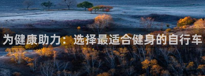 yd2333云顶电子游戏|为健康助力:选择最适合健身的自行车(图1) yd2333云顶电子游戏