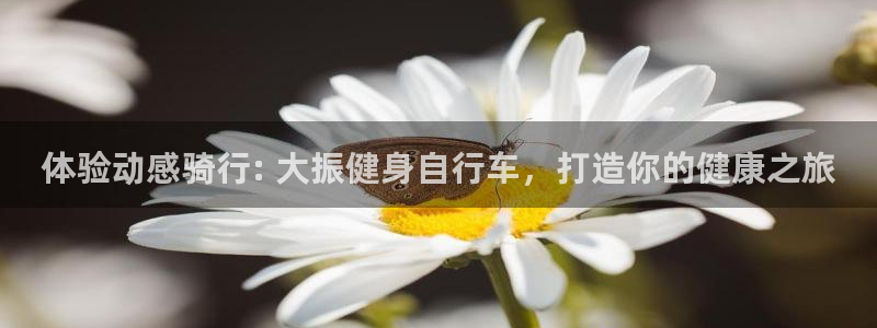 yd12300云顶线路|体验动感骑行: 大振健身自行车,打造你的健康之旅(图1) yd12300云顶线路